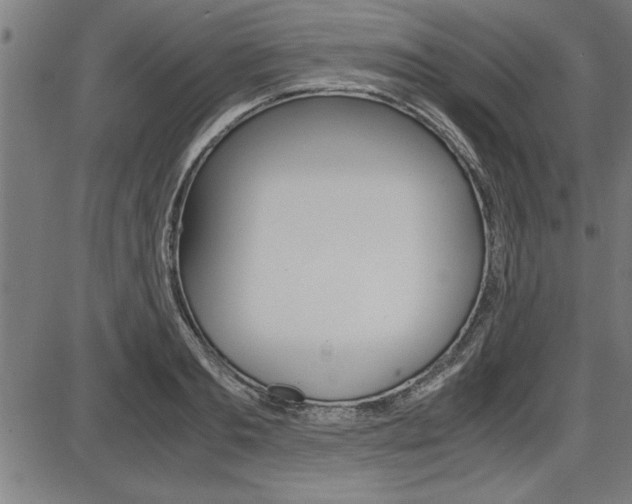 X0000087690893200705040818