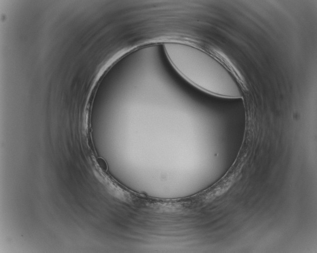 X0000087690900200705040818