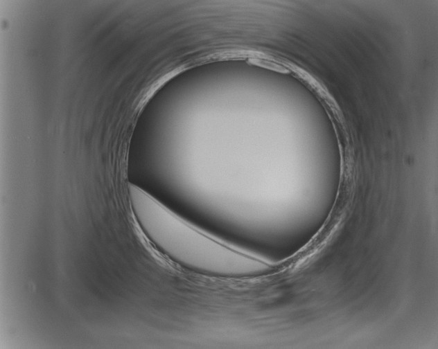 X0000087690905200705040818