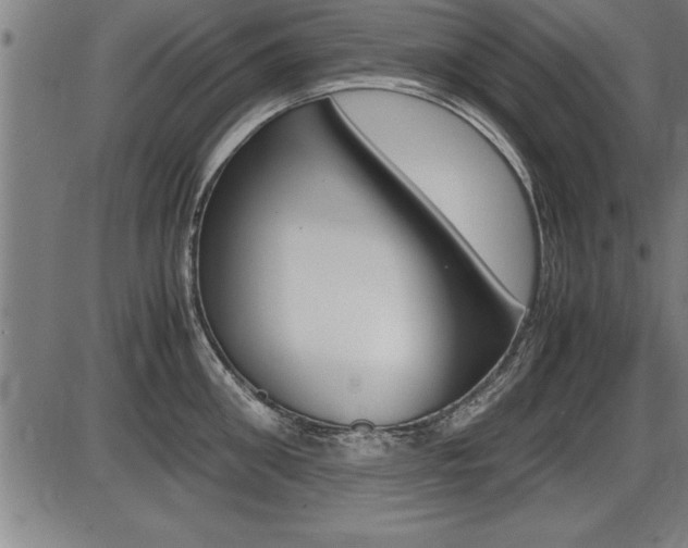X0000087690906200705040818