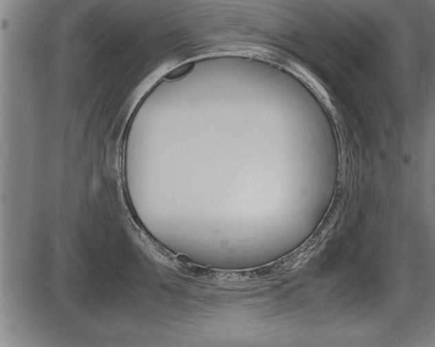 X0000087690907200705040818