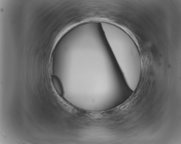 X0000087690911200705040818