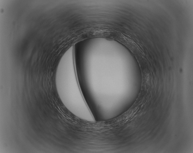 X0000087690914200705040817