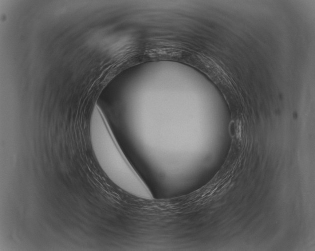 X0000087690915200705040817