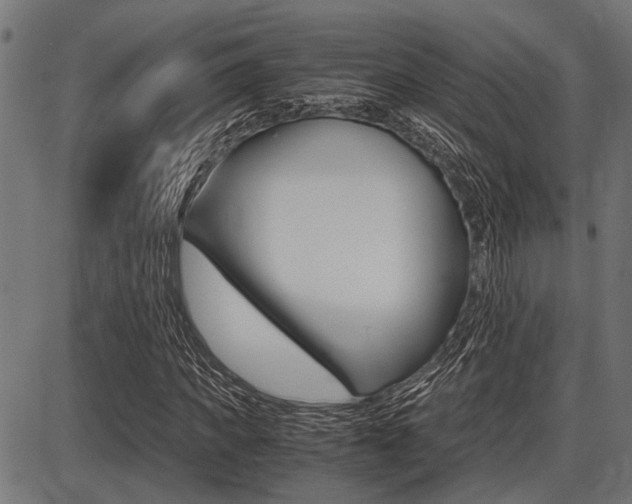 X0000087690917200705040817