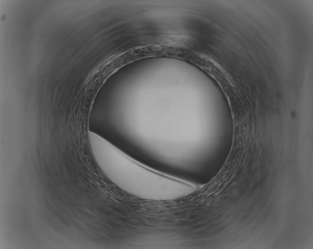 X0000087690919200705040817