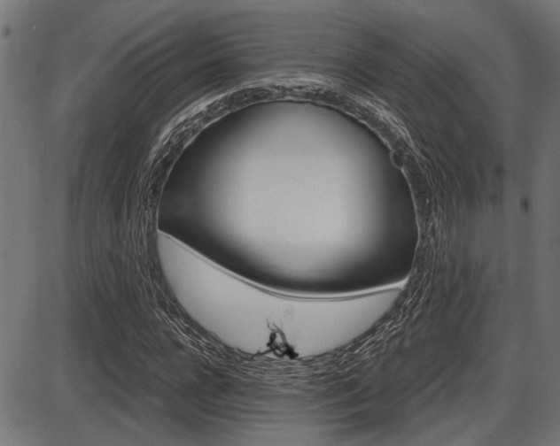X0000087690920200705040817