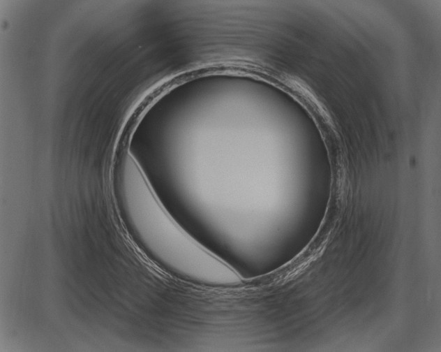 X0000087690924200705040817