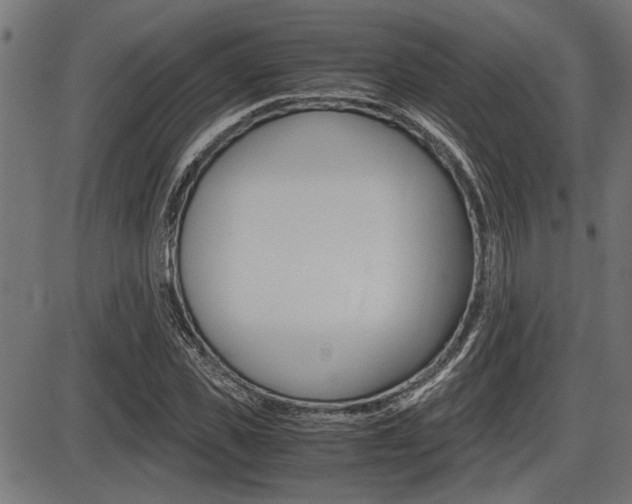 X0000087690925200705040817