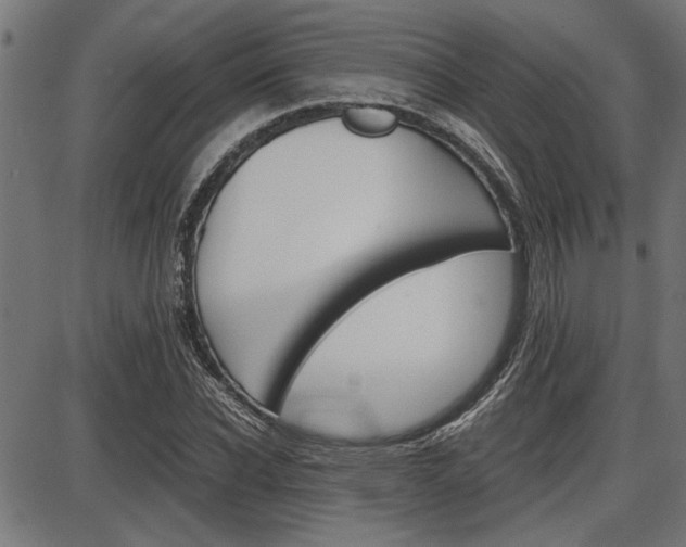 X0000087690926200705040817