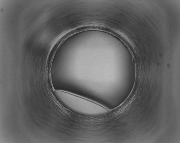 X0000087690927200705040818