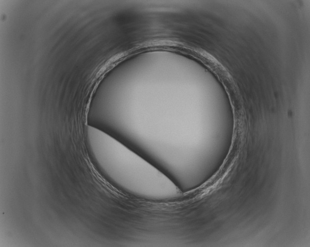 X0000087690929200705040818