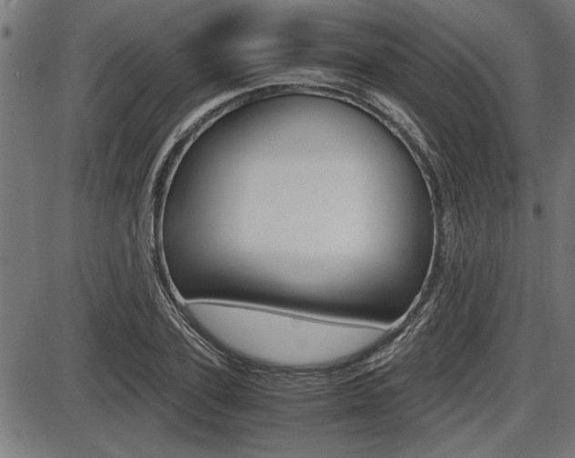 X0000087690931200705040818