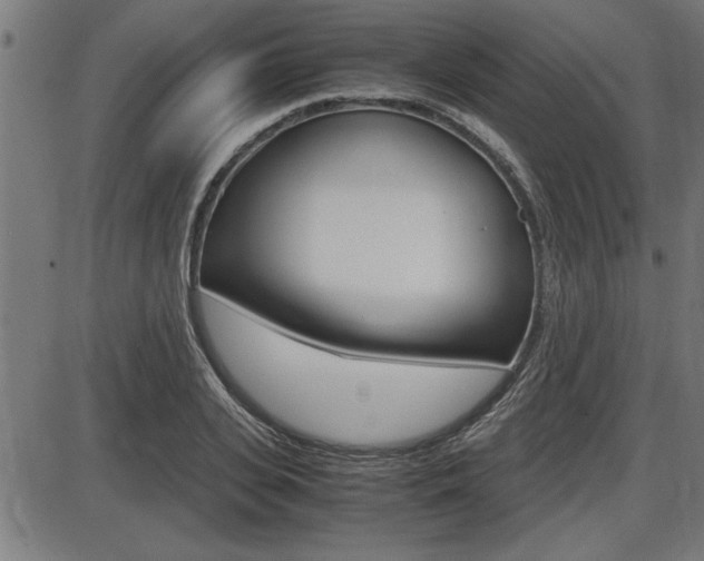X0000087690935200705040818