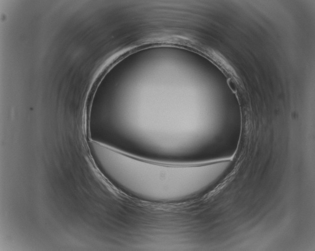 X0000087690940200705040818