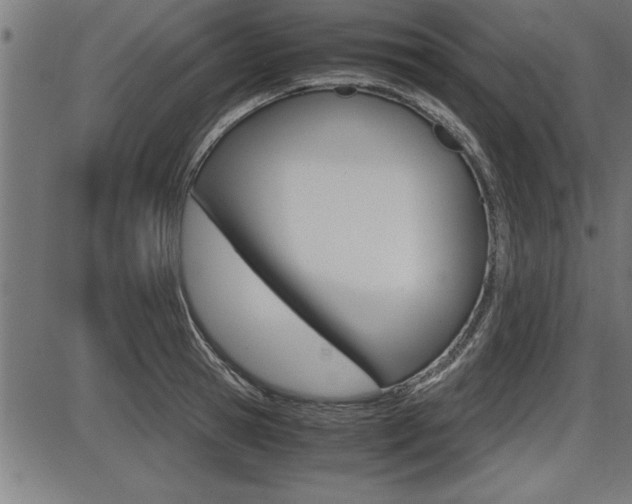 X0000087690945200705040818