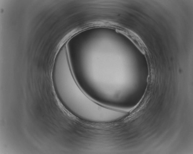 X0000087690946200705040818