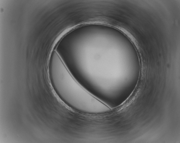 X0000087690949200705040818
