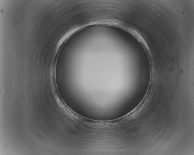 X0000087690952200705040818