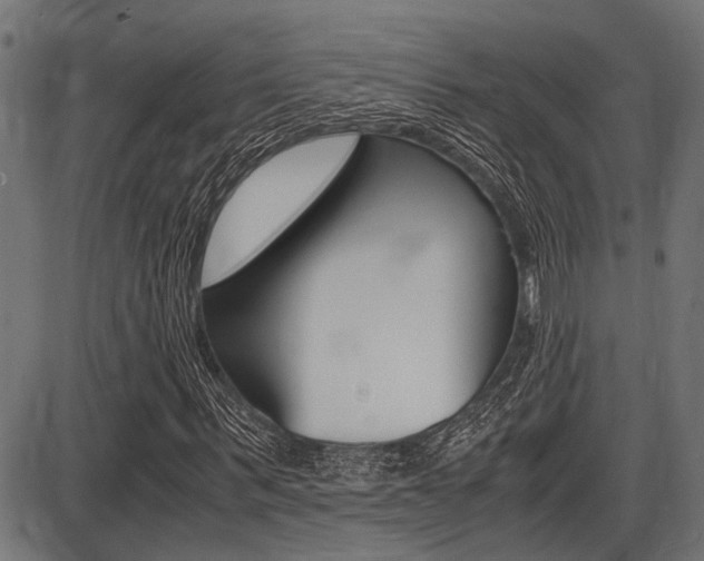 X0000087690963200705040817