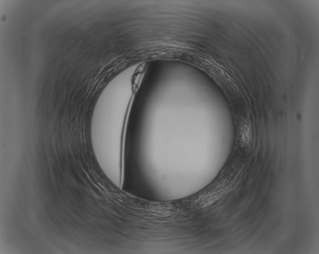 X0000087690964200705040817