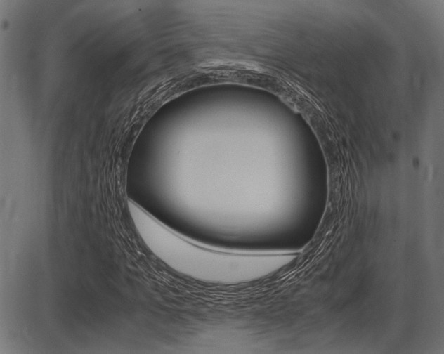 X0000087690965200705040817