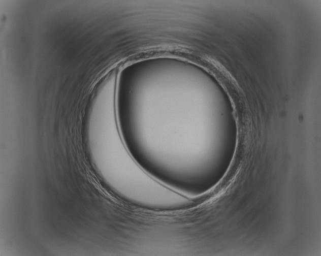 X0000087690969200705040817