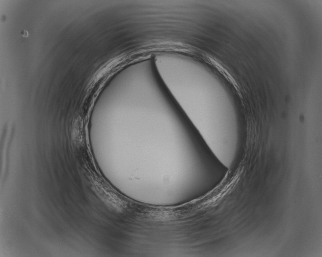 X0000087690970200705040817