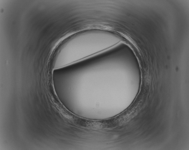 X0000087690971200705040817
