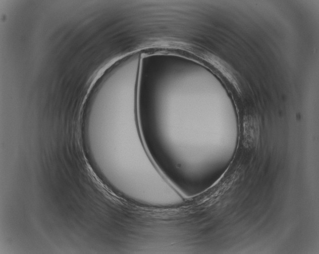 X0000087690972200705040817