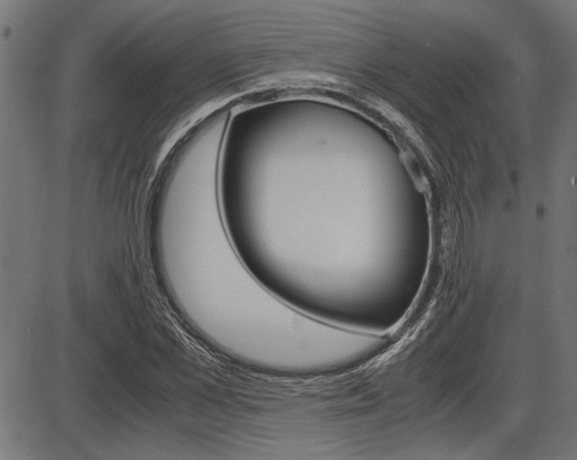 X0000087690973200705040817