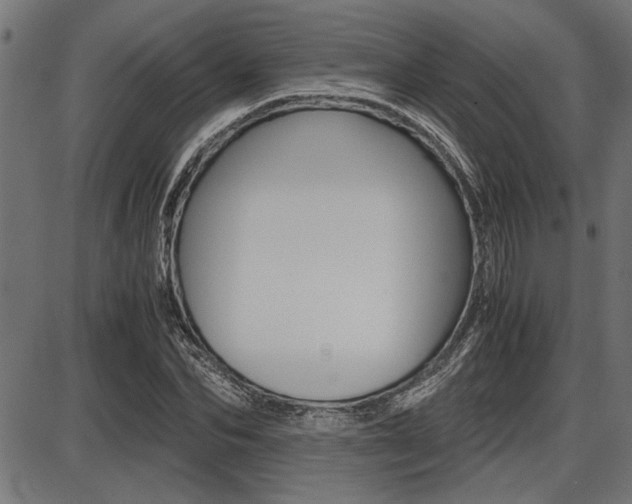 X0000087690974200705040817