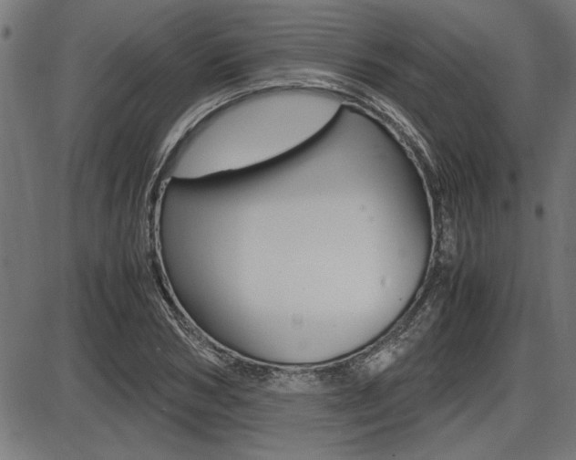 X0000087690978200705040817