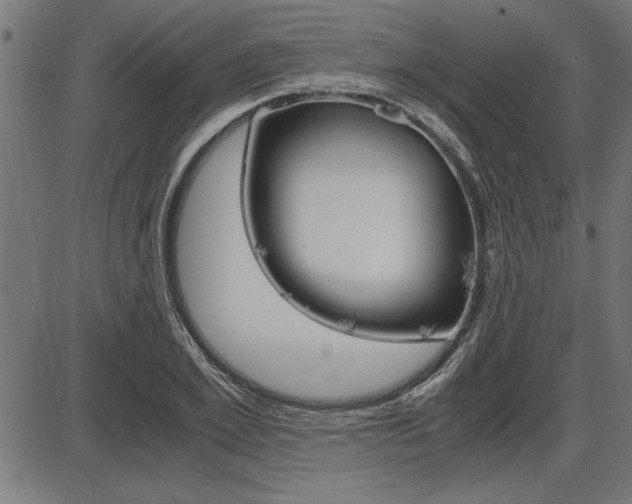 X0000087690981200705040817