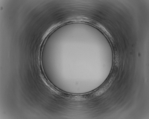 X0000087690986200705040817
