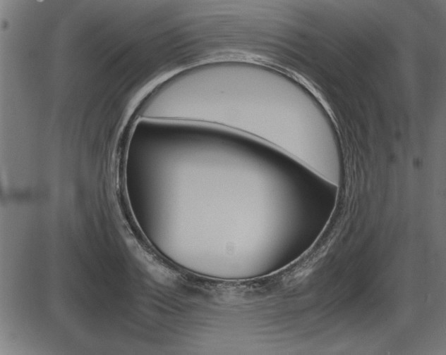X0000087690987200705040817