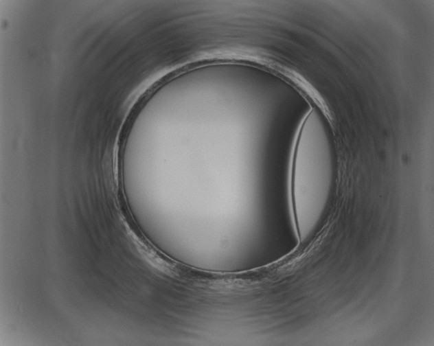 X0000087690988200705040817