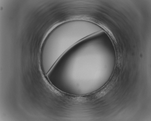 X0000087690992200705040817
