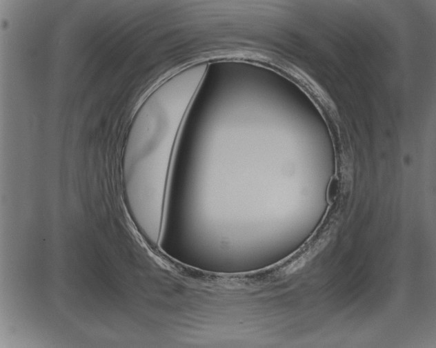 X0000087690993200705040817