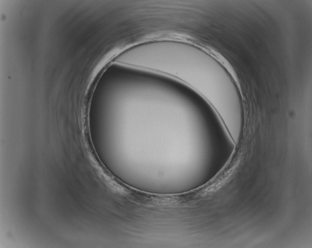 X0000087690997200705040817