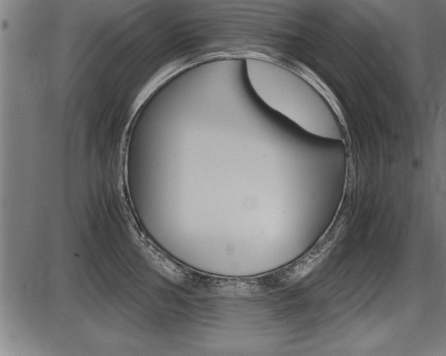 X0000087691002200705040817