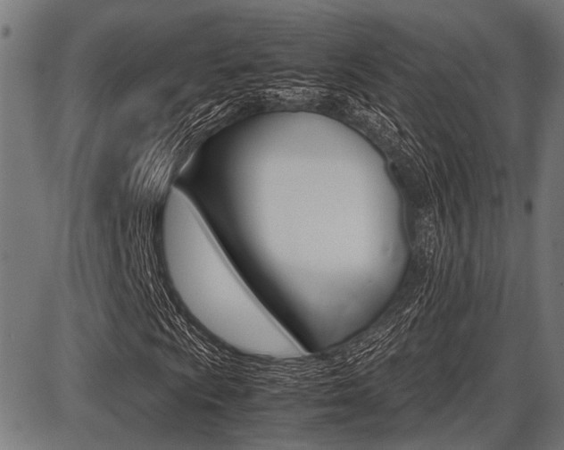 X0000087691009200705040816