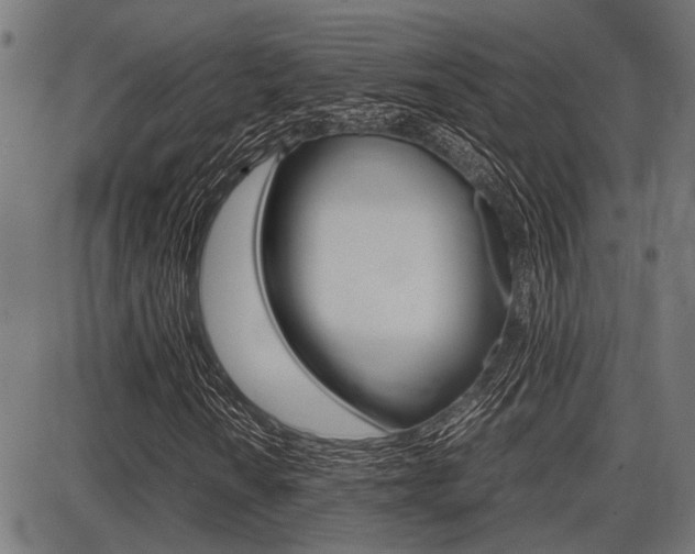 X0000087691010200705040816