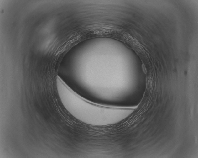 X0000087691012200705040816