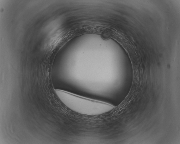 X0000087691013200705040816