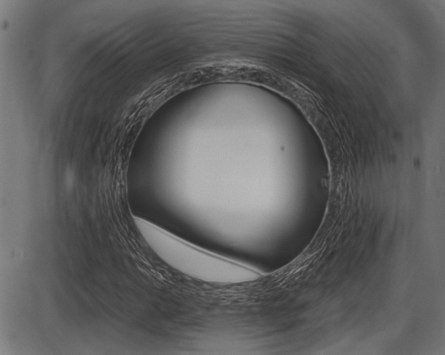 X0000087691014200705040816