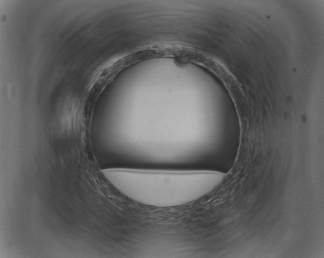 X0000087691016200705040816
