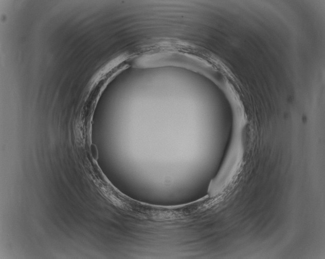 X0000087691018200705040816