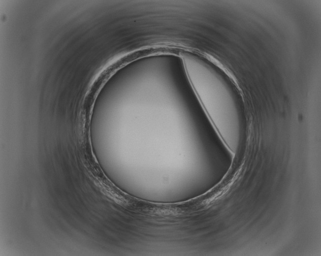 X0000087691021200705040816