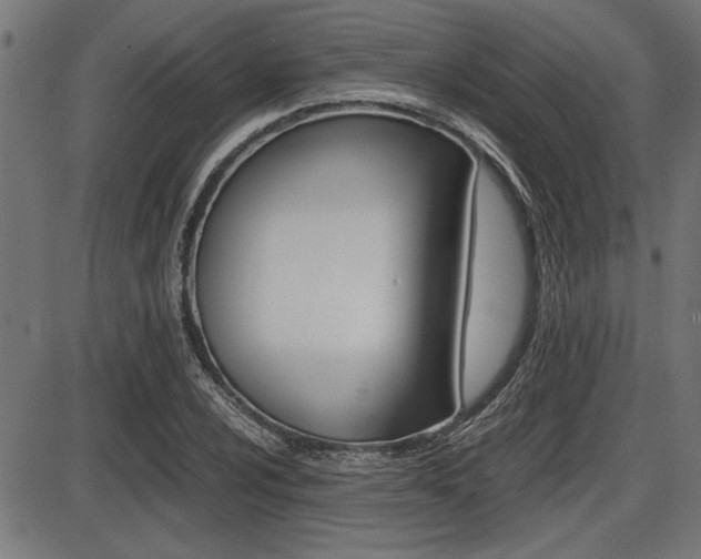 X0000087691024200705040816